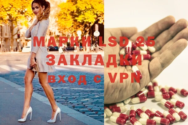 spice Алексеевка