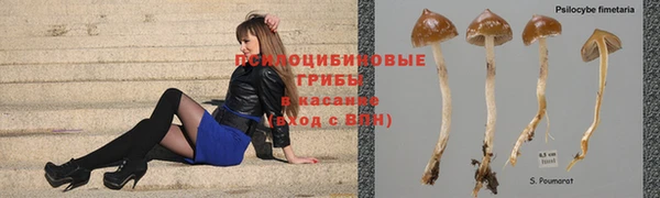 spice Алзамай