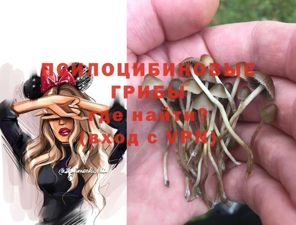 spice Алзамай
