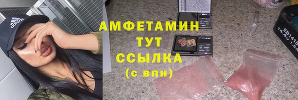 spice Алзамай