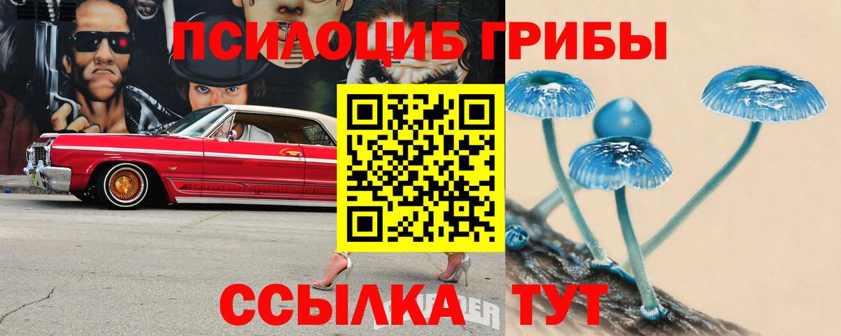 закладка  Галлюциногенные грибы MAGIC MUSHROOMS  Псилоцибиновые грибы GOLDEN TEACHER  Вход с VPN  Сорочинск 